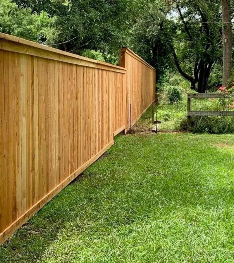 Wood fence bordering a Florida backyard